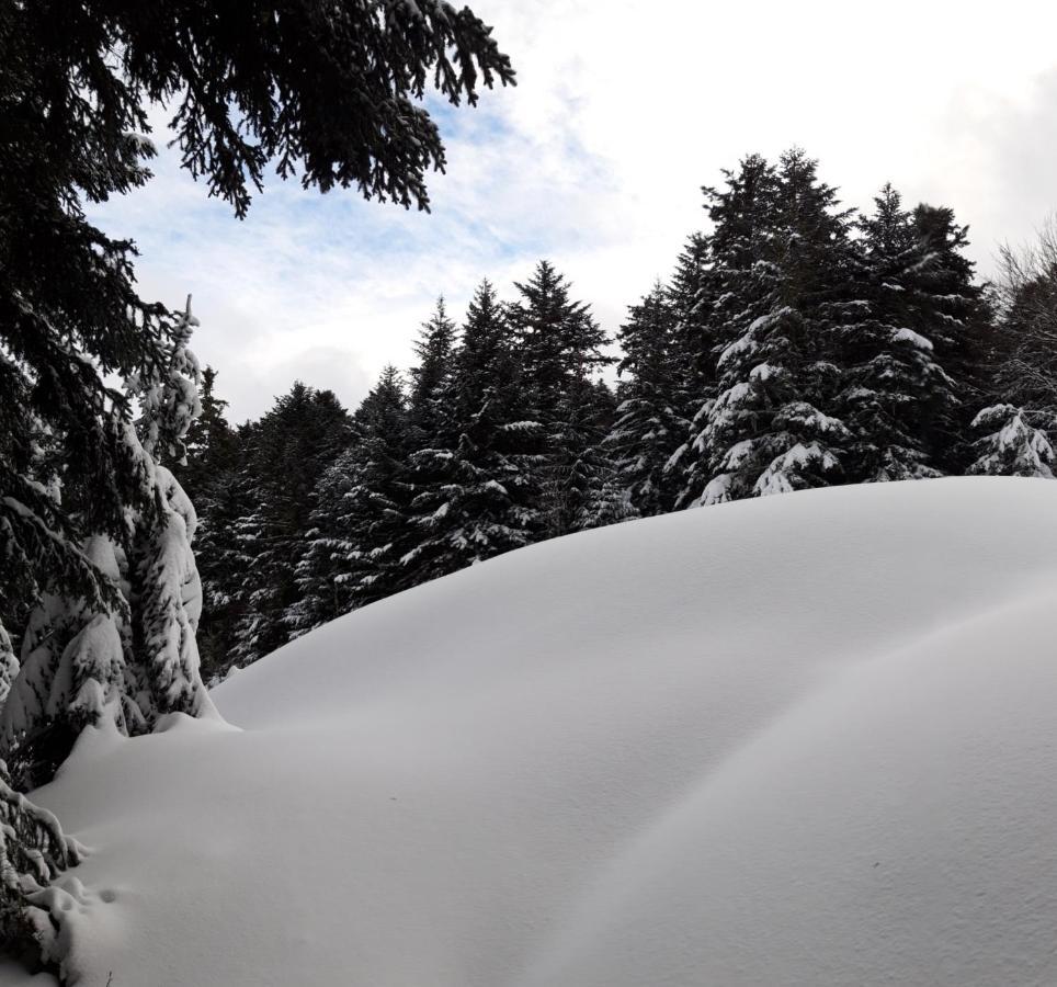 Pyrenees - Le Nid D'Ax Apartment Акс-ле-Терм Екстериор снимка